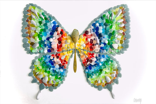 Bonaire Butterfly