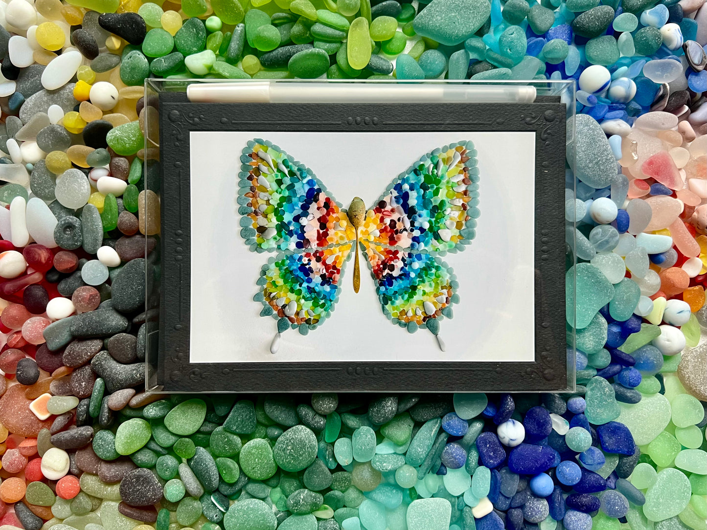 Bonaire Butterfly 10-pack Gift Set