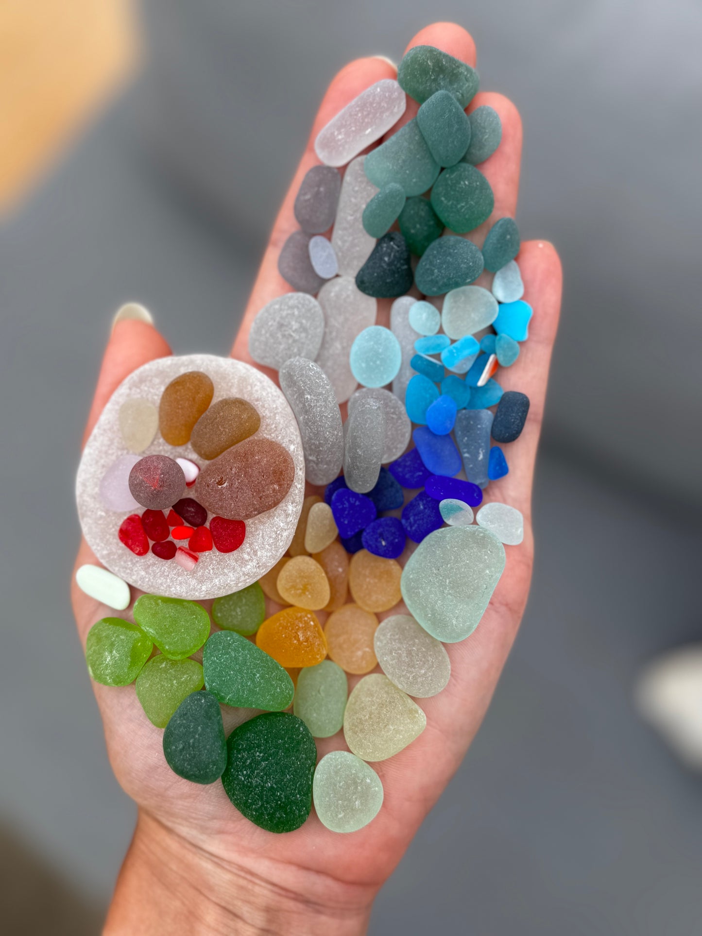 The Flying Mermaids daily haul of seaglass 🧜🏼‍♀️