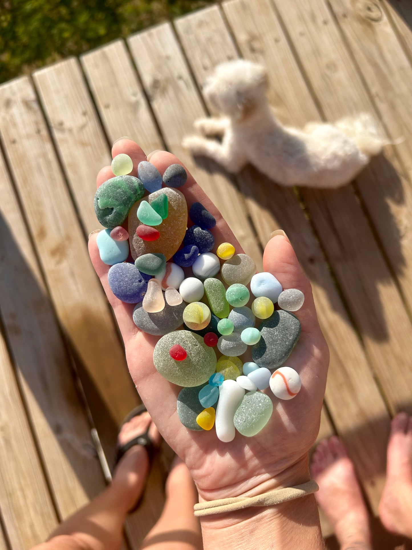 The Flying Mermaids daily haul of seaglass 🧜🏼‍♀️