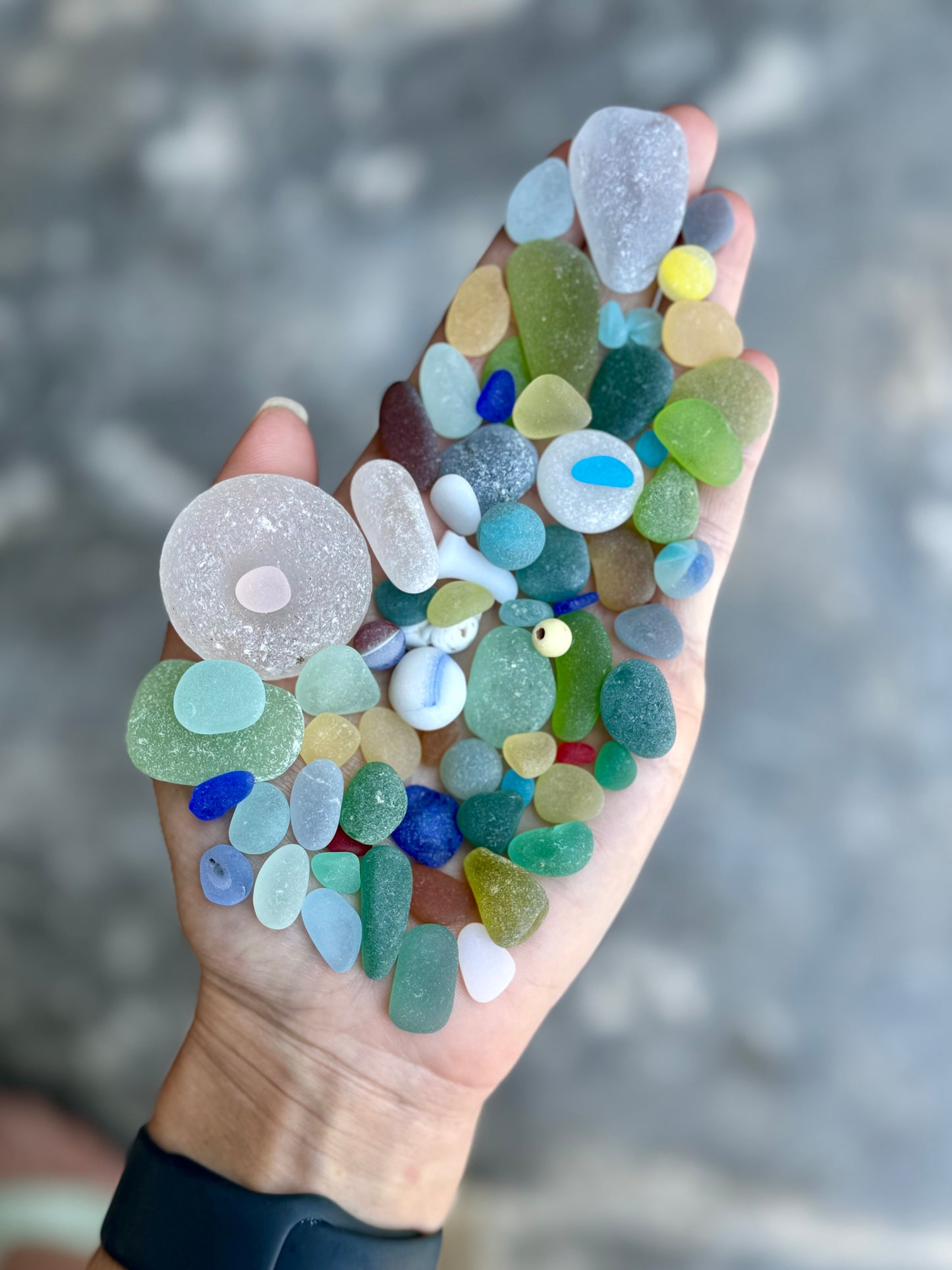 The Flying Mermaids daily haul of seaglass 🧜🏼‍♀️