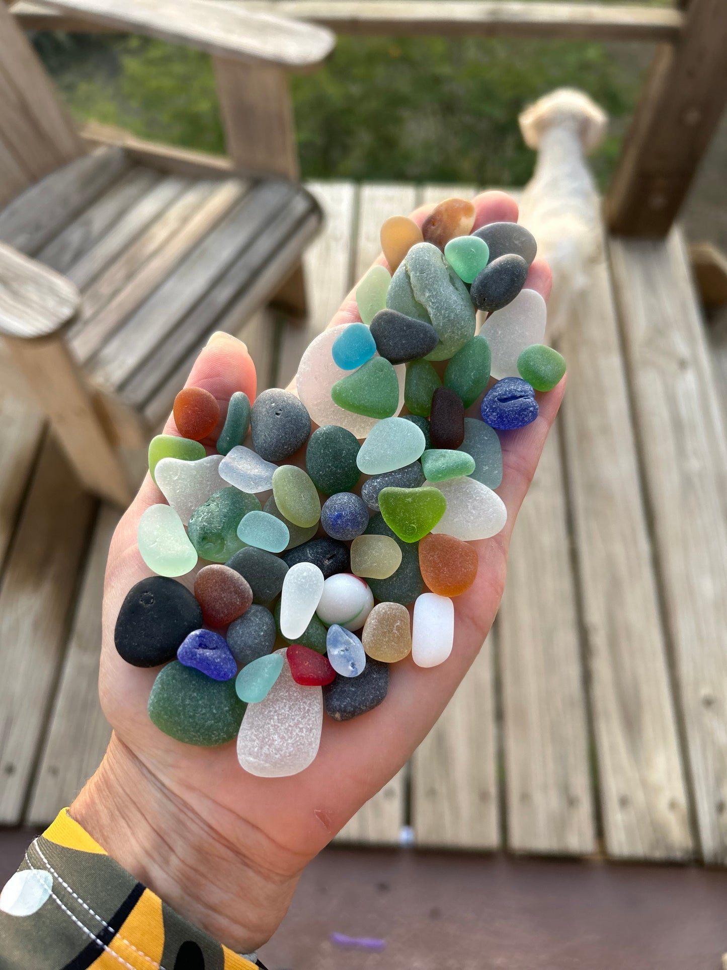 The Flying Mermaids daily haul of seaglass 🧜🏼‍♀️