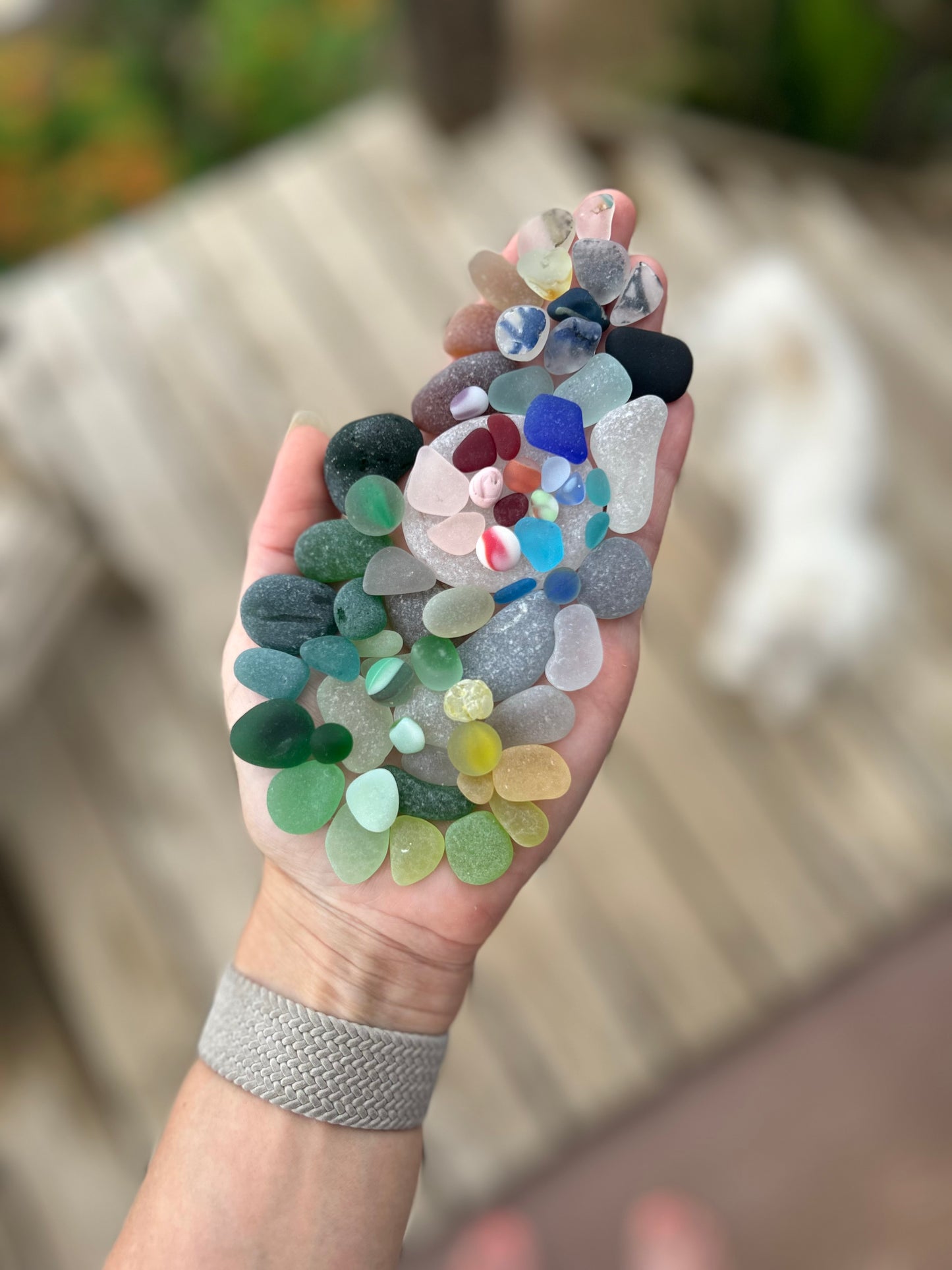 The Flying Mermaids daily haul of seaglass 🧜🏼‍♀️