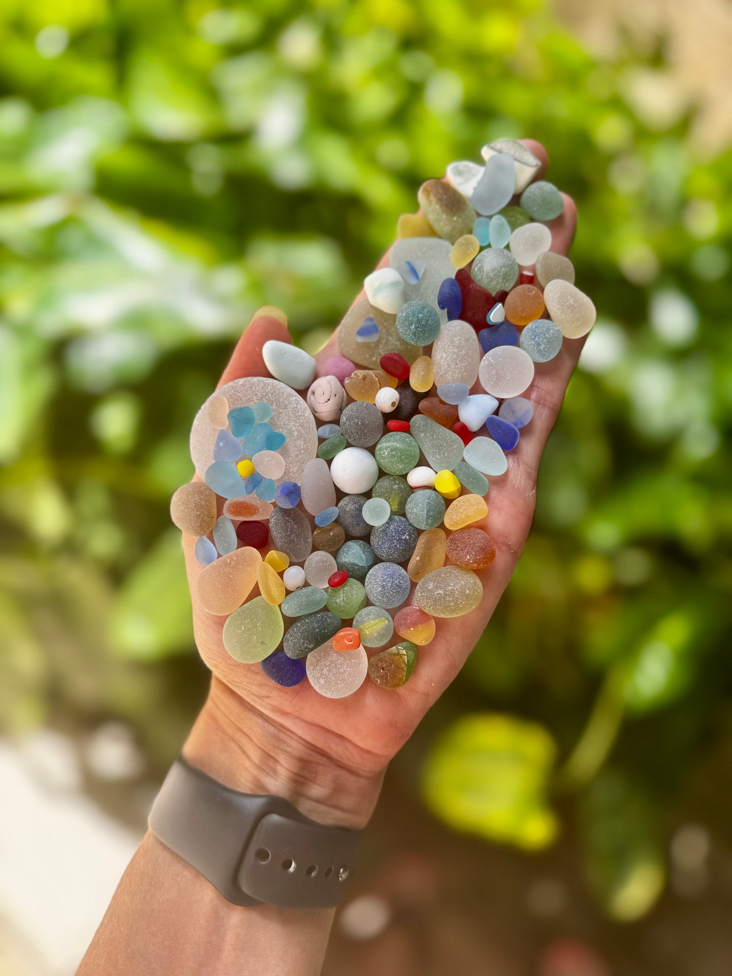 The Flying Mermaids daily haul of seaglass 🧜🏼‍♀️