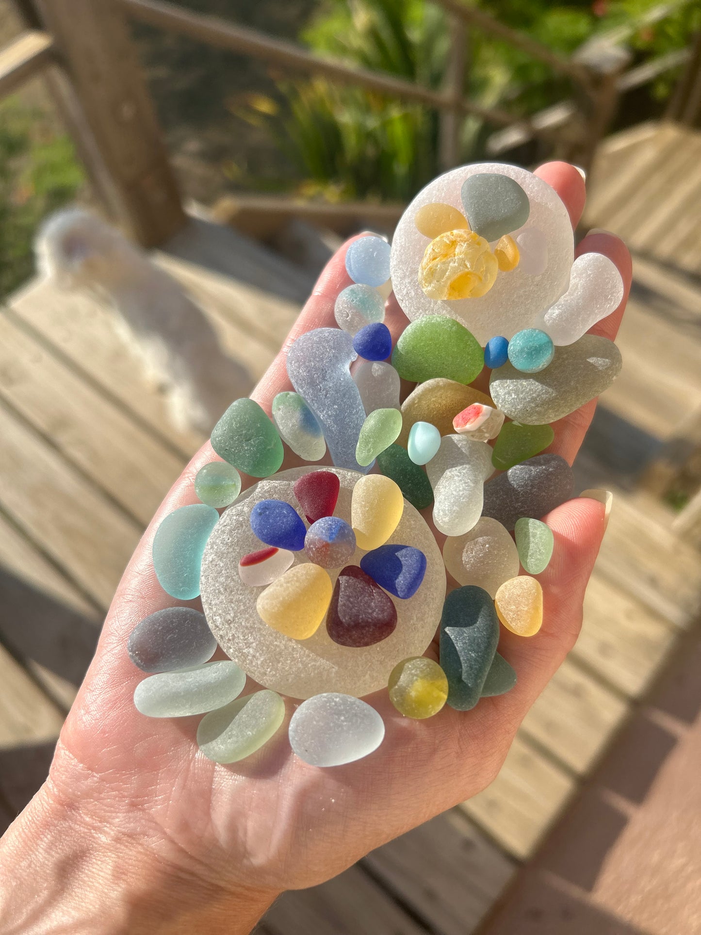 The Flying Mermaids daily haul of seaglass 🧜🏼‍♀️