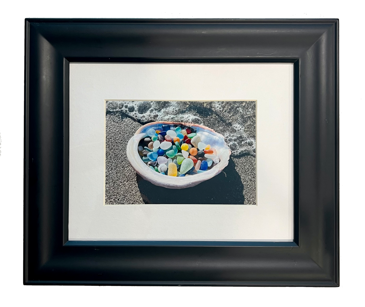 13”X 11” Frame of Shellicious